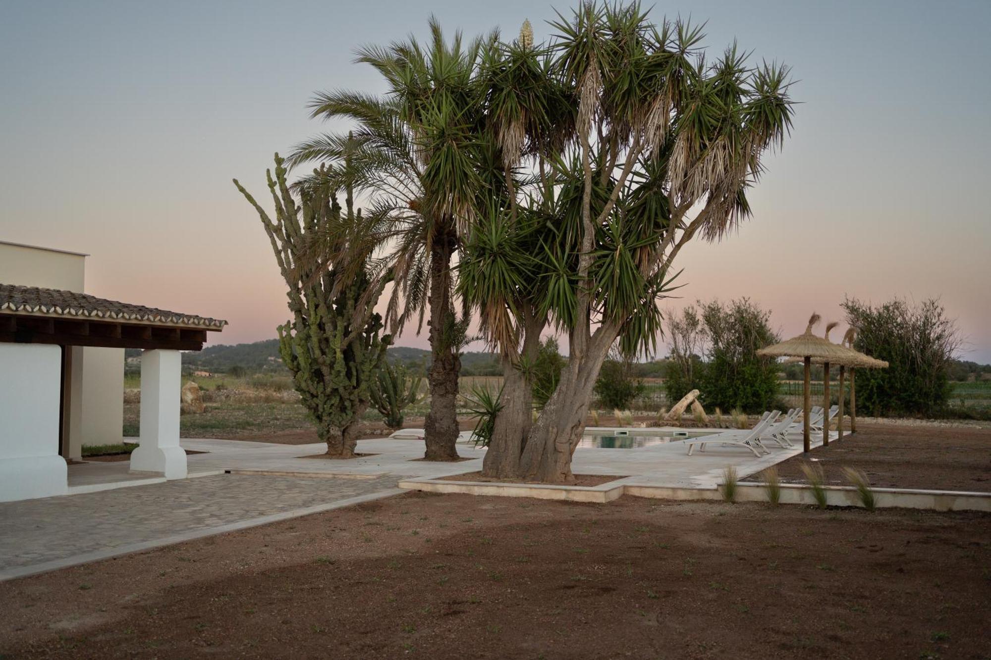Vino Resort Son Amaret Son Macia  Exterior photo