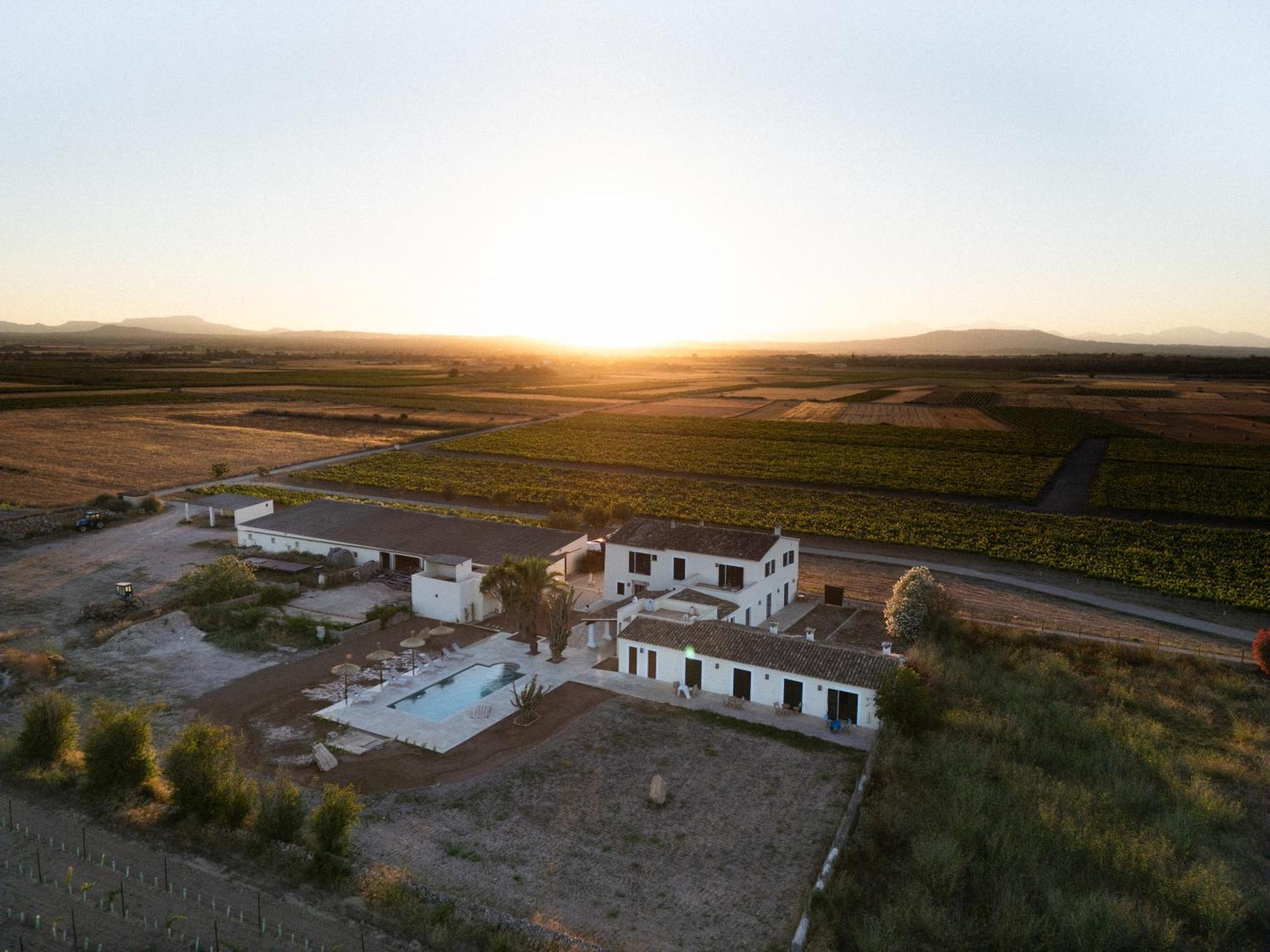 Vino Resort Son Amaret Son Macia  Exterior photo