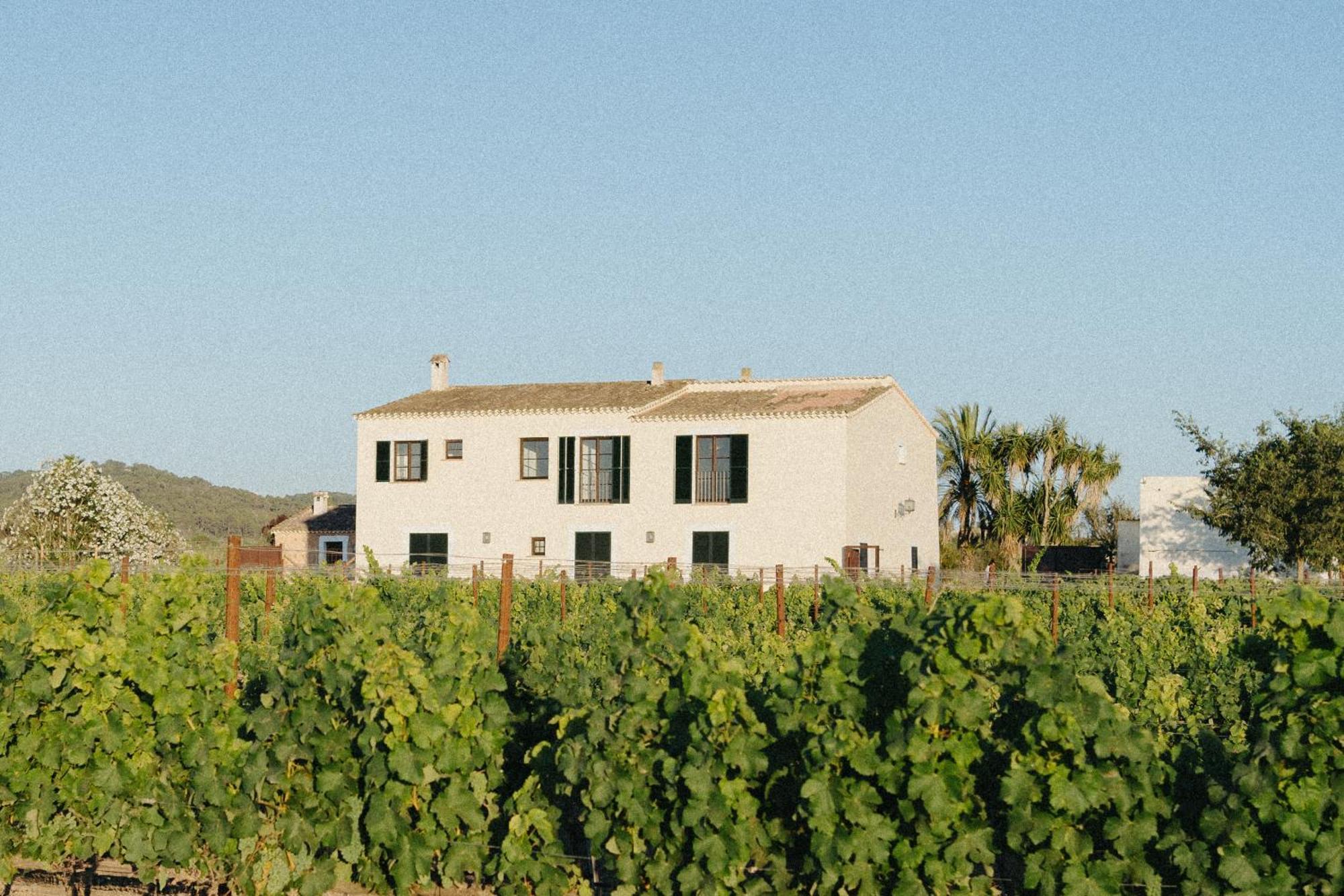 Vino Resort Son Amaret Son Macia  Exterior photo